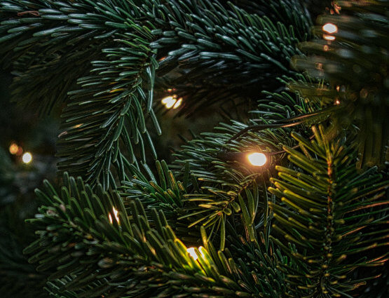 6 tips for creating a strong holiday content strategy for your business