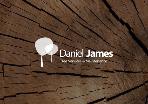 Daniel James Tree Services